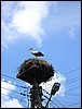 CIMG0636.JPG